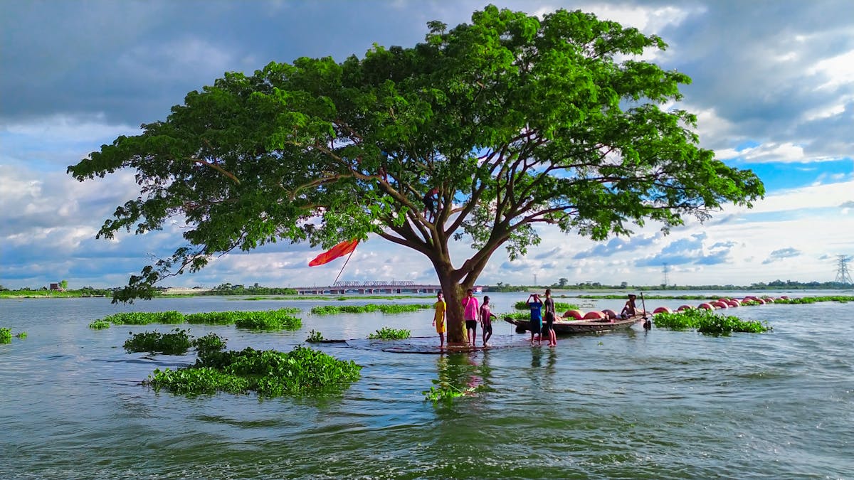 Relaxed client receiving professional facial treatment